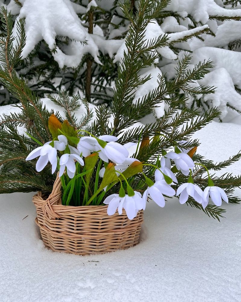 Photograph by Татьяна Ремизова