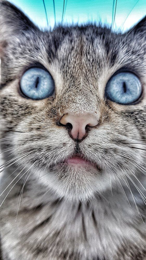 Photograph by Дарья Купчус