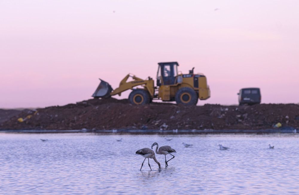 Photograph by Ali Ospan