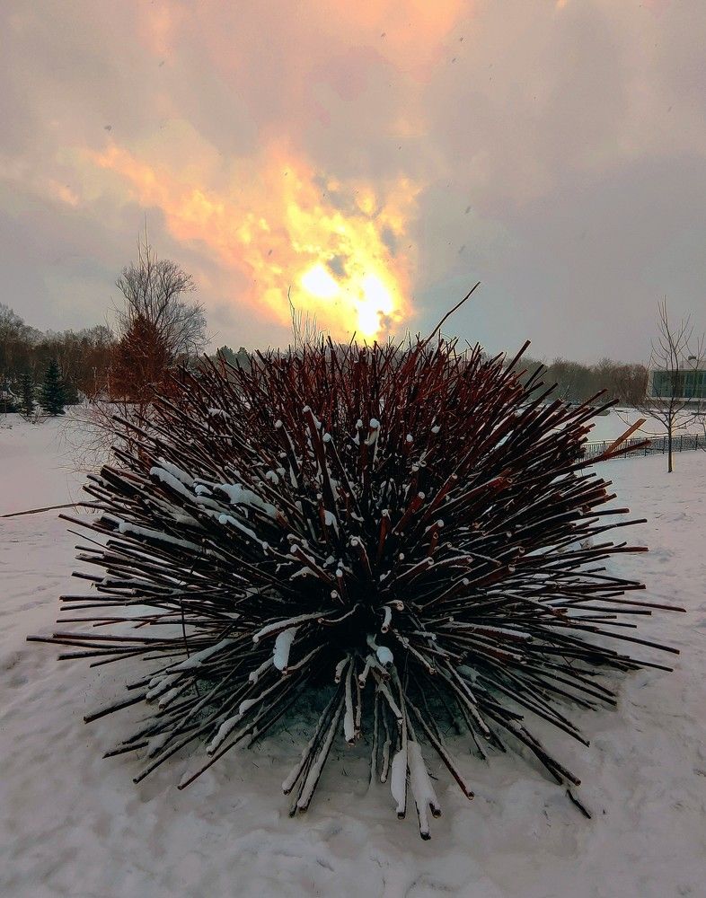 Фотография автора Olena Vorotyntseva