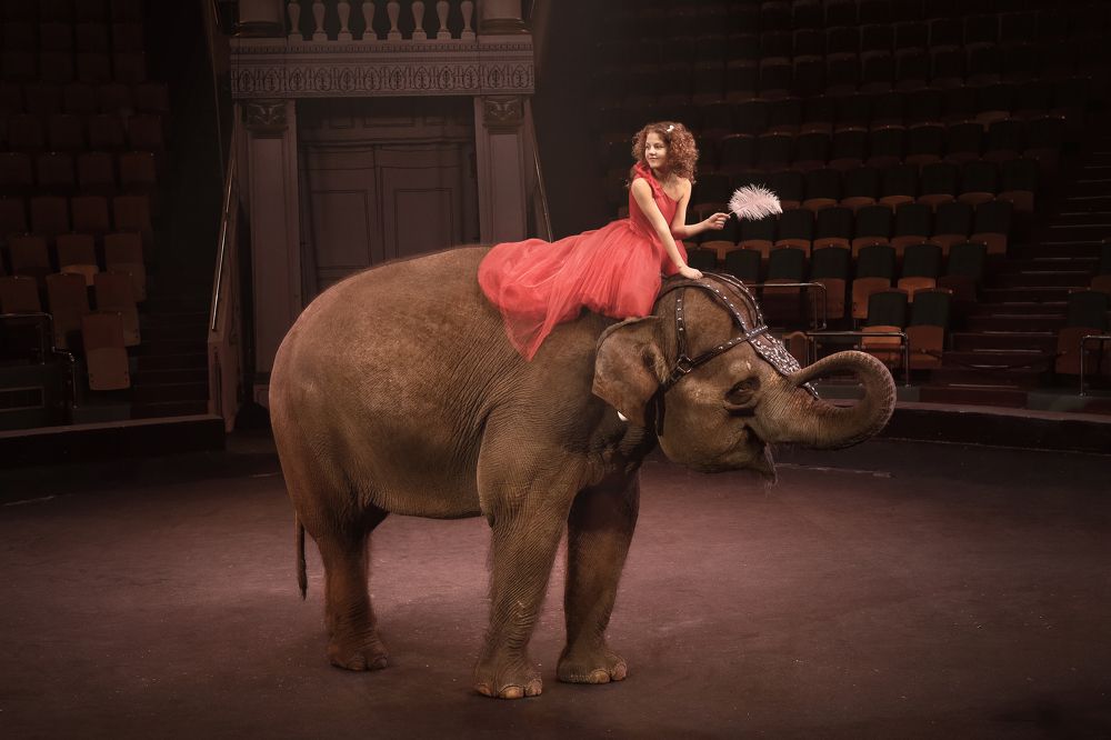 Photograph by Дарья Патук