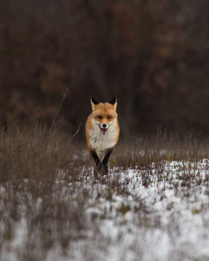 Photograph by Govinda Thompson