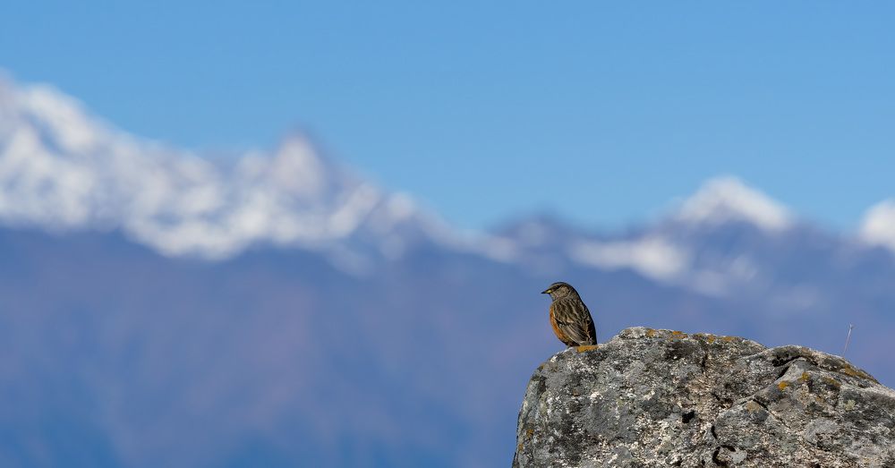 Photograph by Bidyut Saikia