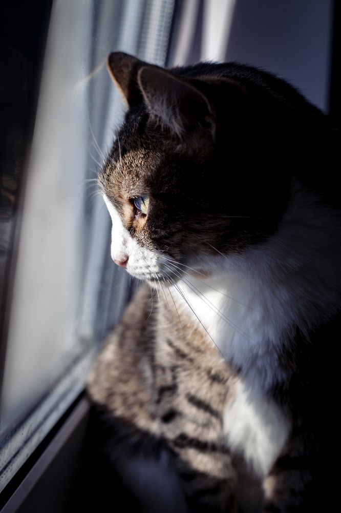 Фотография автора Станислава Гордеева