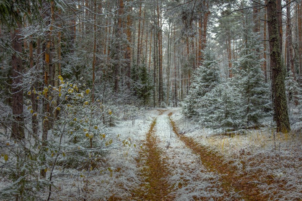 Photograph by Дмитрий Алексеев