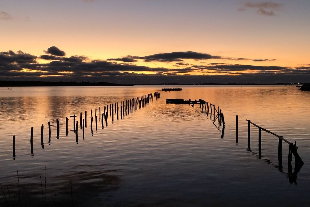 Photograph by Elena Kruglyakova