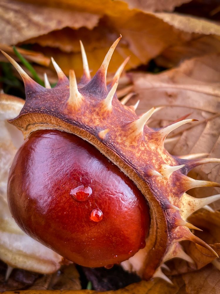 Фотография автора Рамзия Хисамутдинова