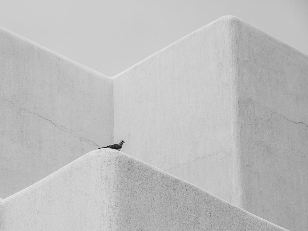 Photograph by SHAJI CHANDRAN