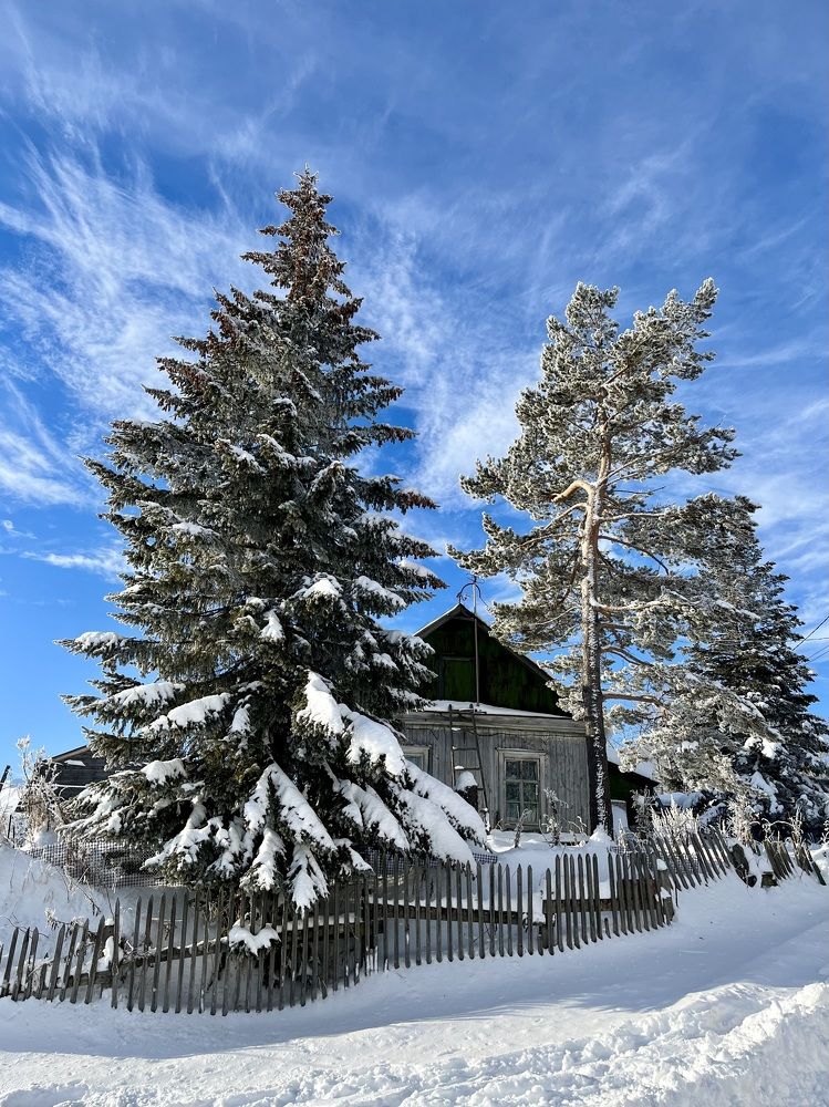 Photograph by Ольга Yarovenko