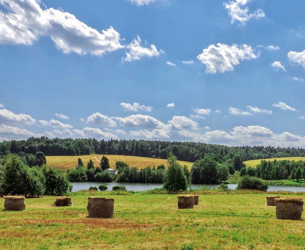 Photograph by Светлана Богомолова