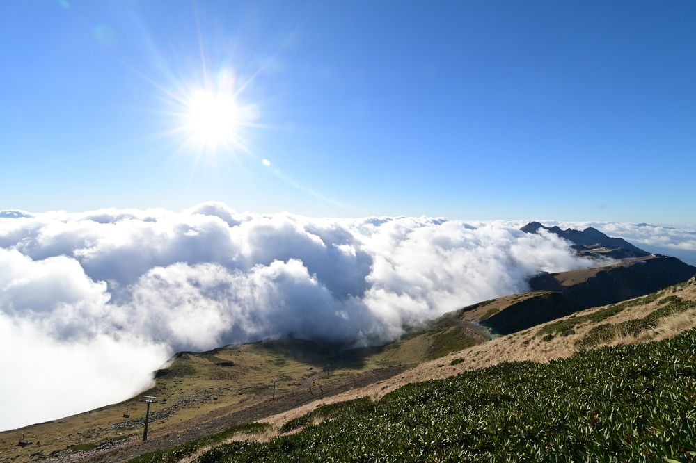 Photograph by Сергей Кривоносов