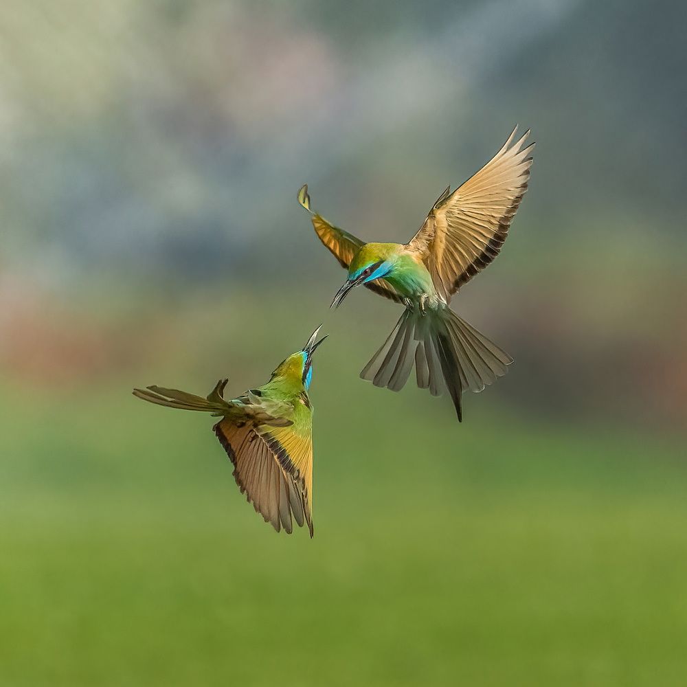 Photograph by Dipin Sreepadmam