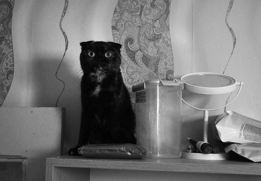 Photograph by Сергей Харитон