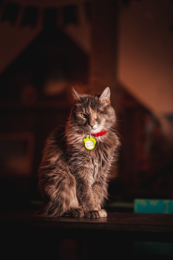 Photograph by Артём Малаховский