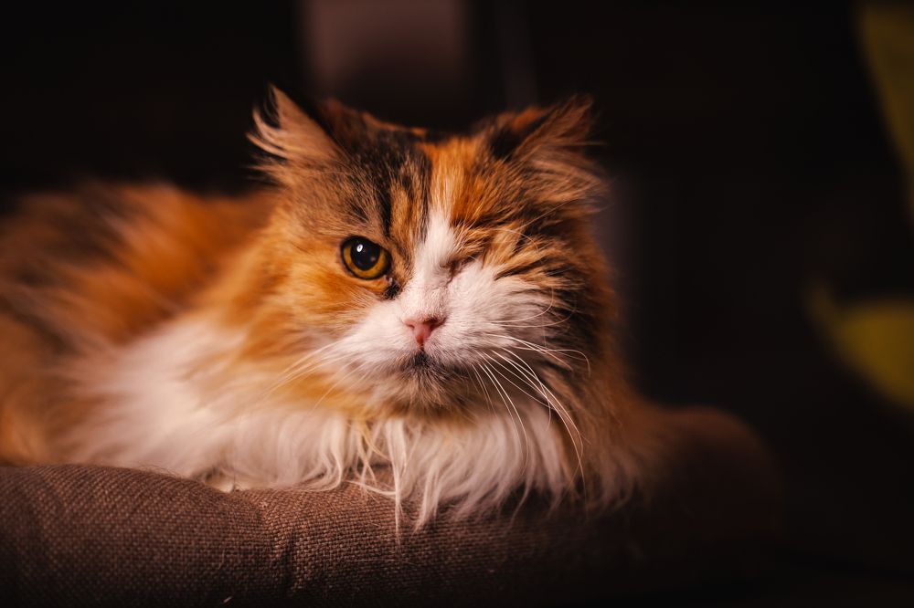 Photograph by Артём Малаховский