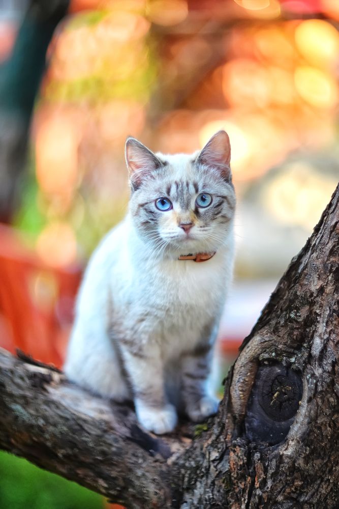 Photograph by Ксения Базарова