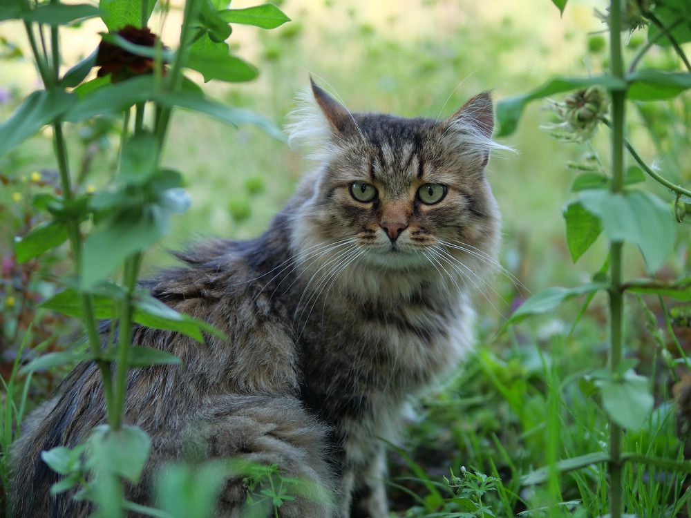 Photograph by Сергей Харитон