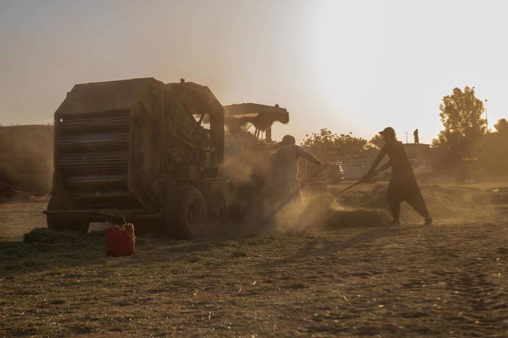 Photograph by Zubair Irshad