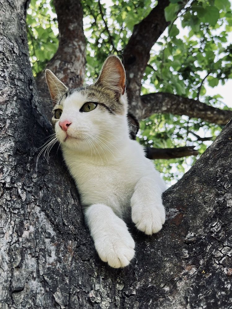 Photograph by Ольга Томашевич