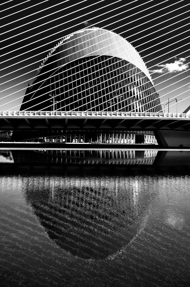 Photograph by Анастасия Голубева