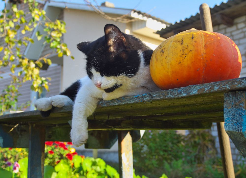 Photograph by Сергей Харитон