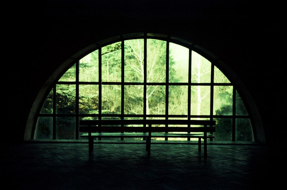 Photograph by Дарья