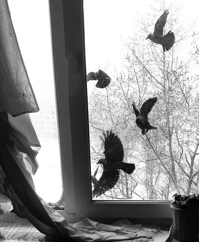 Photograph by Татьяна Кунц