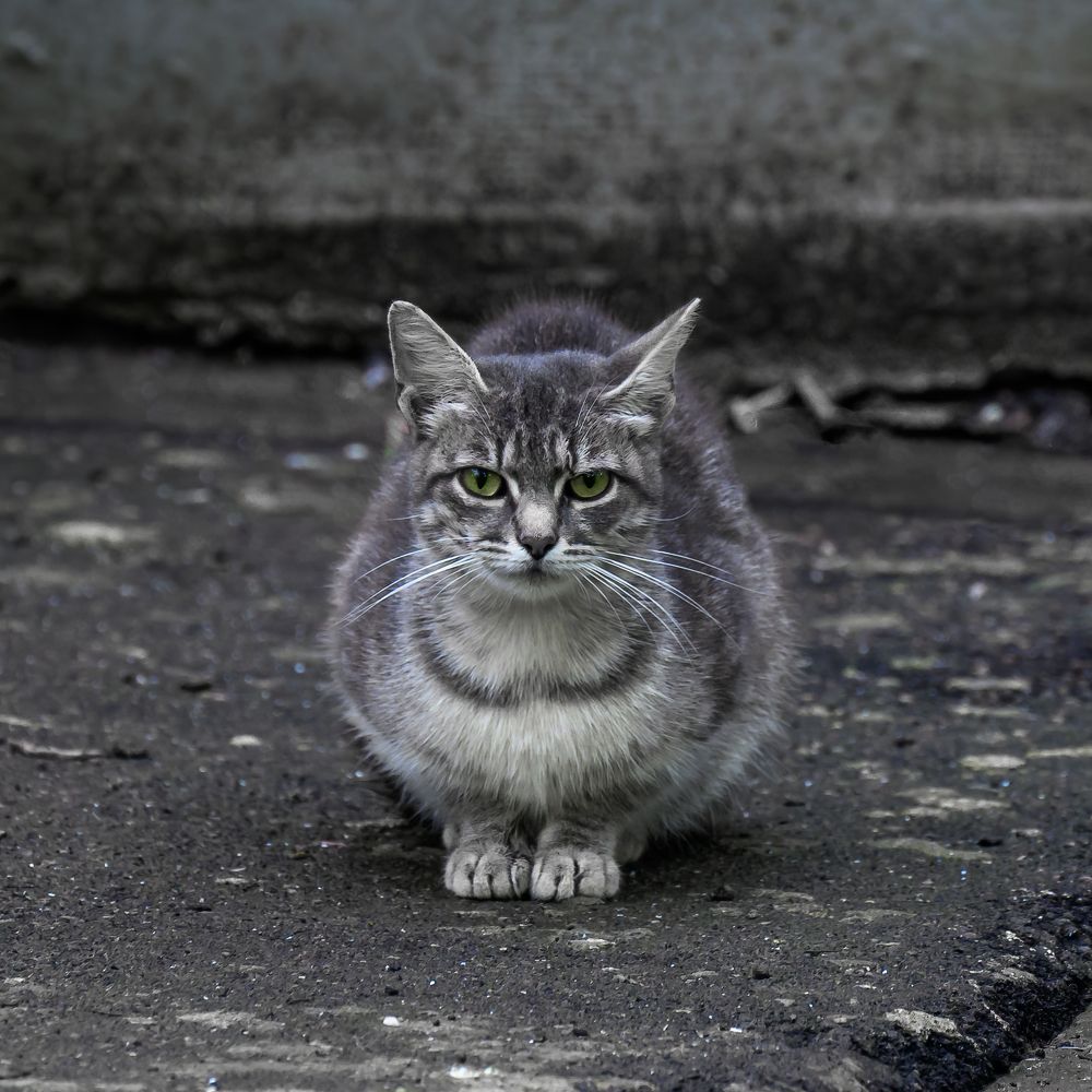 Photograph by Вячеслав Белов