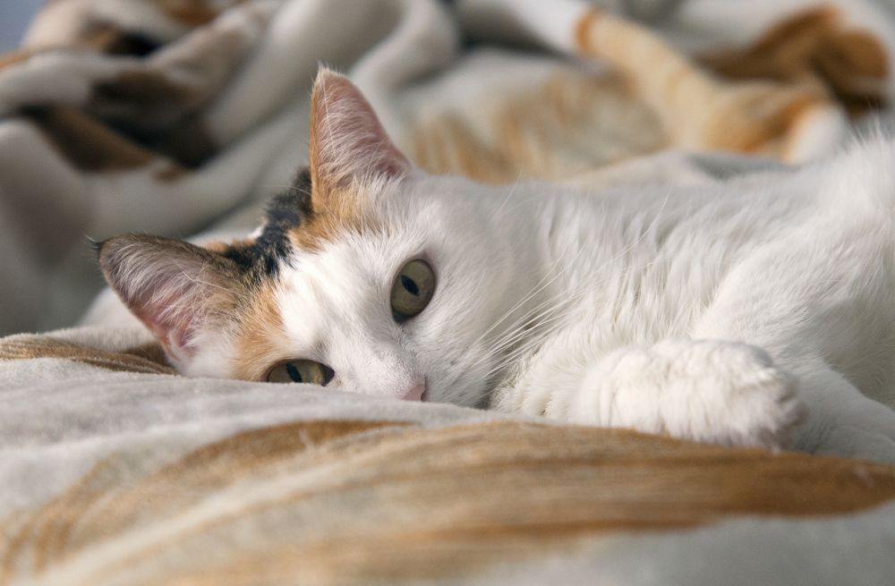 Photograph by Олег Пученков