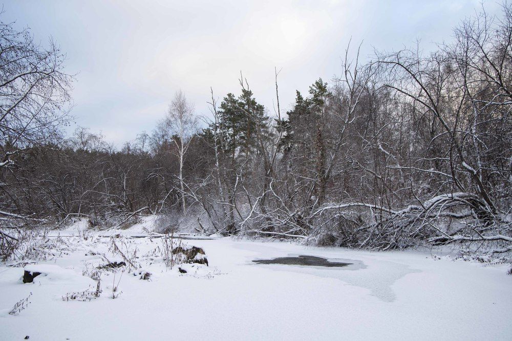 Photograph by Максим Фролов