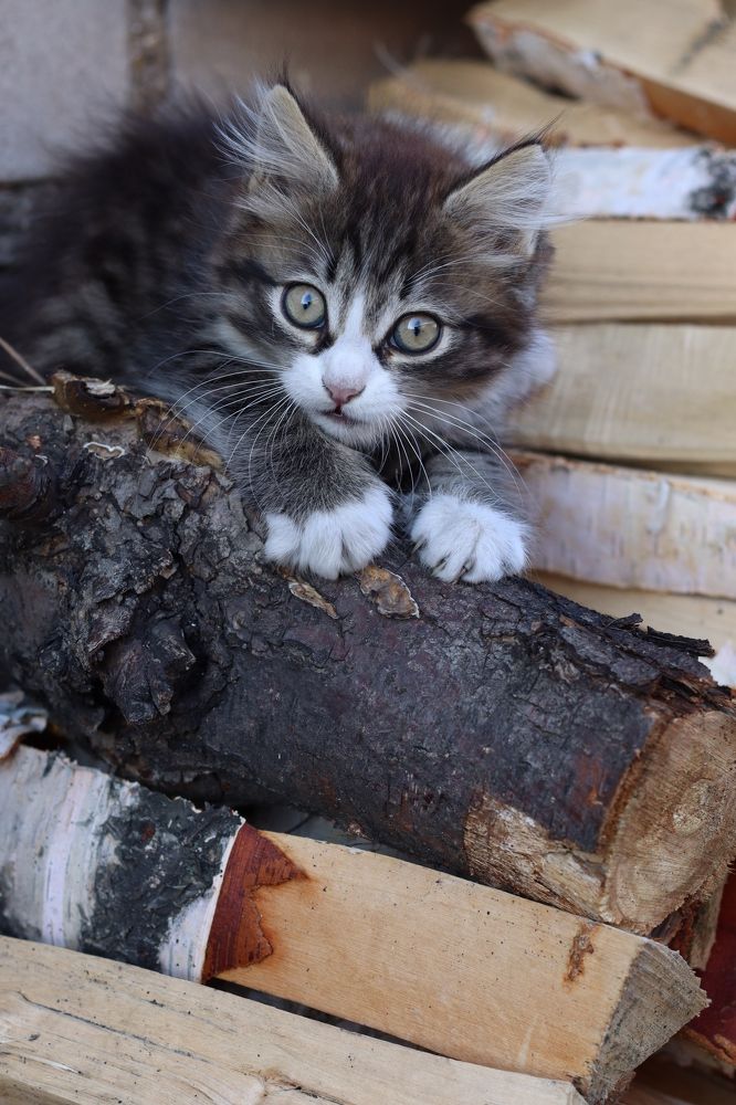 Photograph by Анна Горбунова