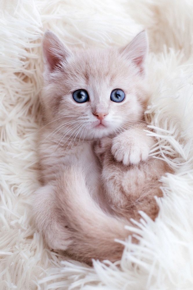 Photograph by Анастасия Голубева