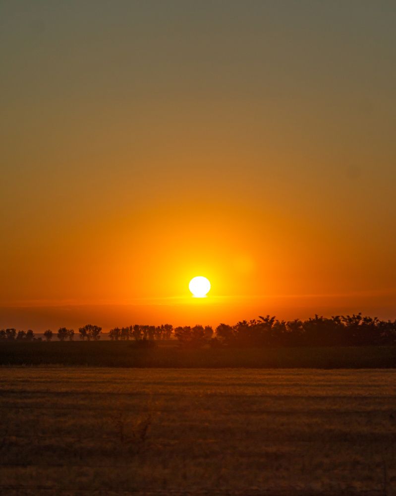 Photograph by Левичев Валетнин