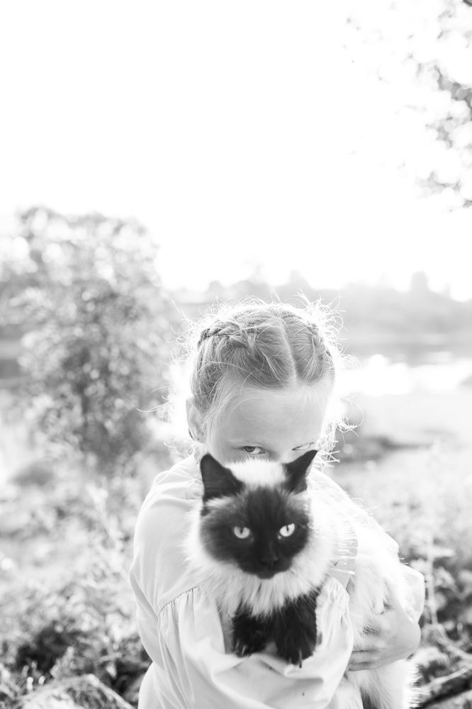 Фотография автора Анна Толмачева