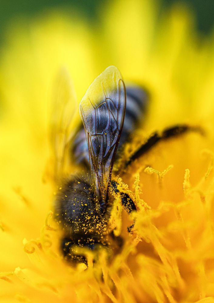 Photograph by Александр Казак