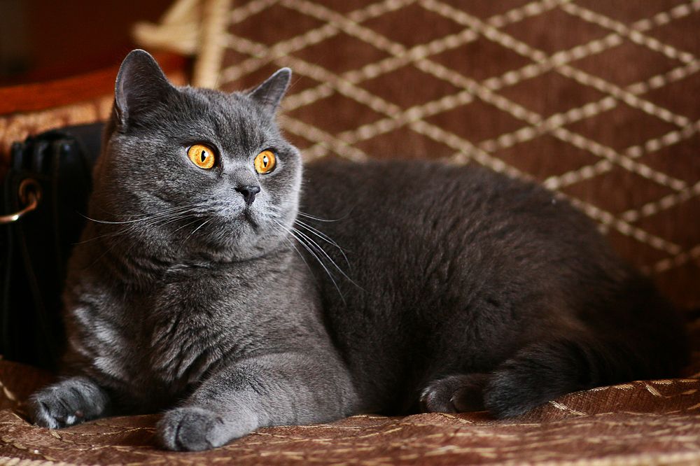 Photograph by Марина Шадрина