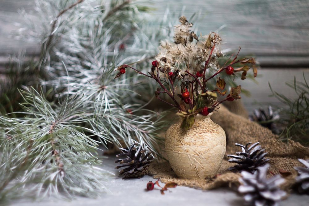 Фотография автора Наталья Соболь