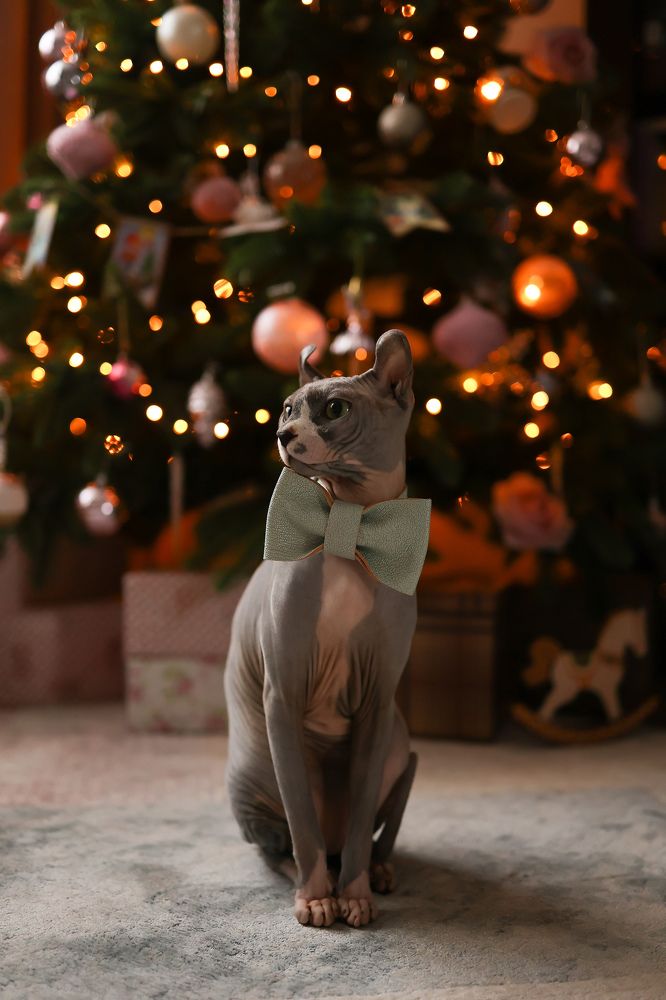 Photograph by Светлана Хижняк