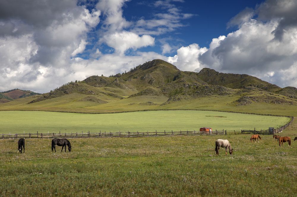 Photograph by Дмитрий Юдин