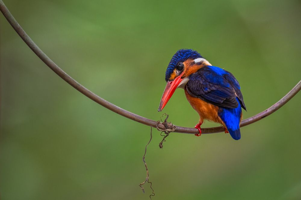 Photograph by Lucas Oh