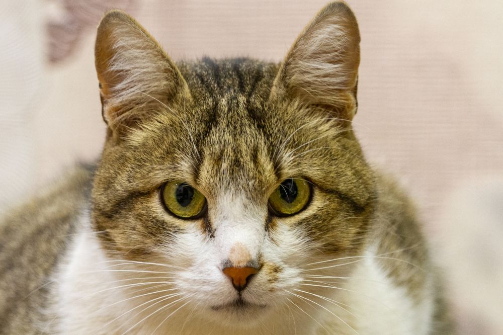 Photograph by Сергей