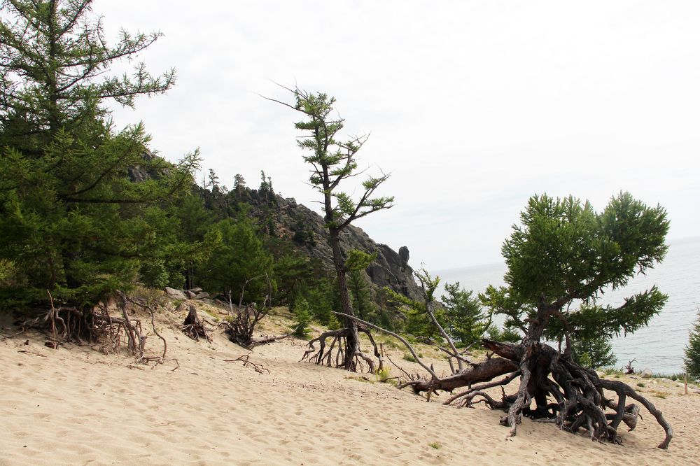 Photograph by Екатерина