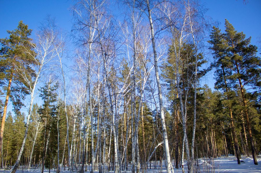 Photograph by Сергей Махницкий