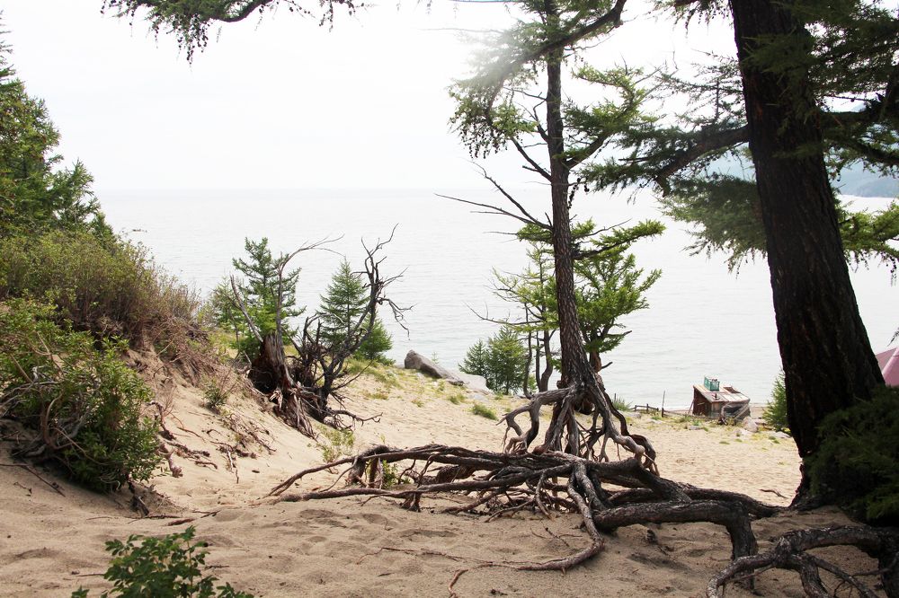 Photograph by Екатерина