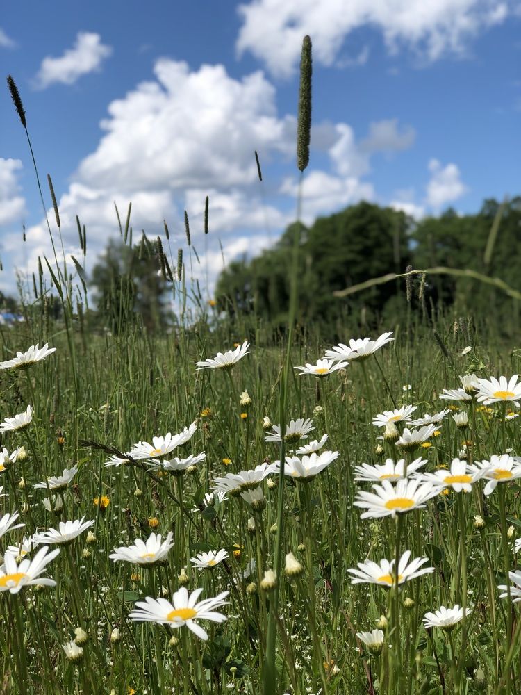 Photograph by Лариса Акинчиц