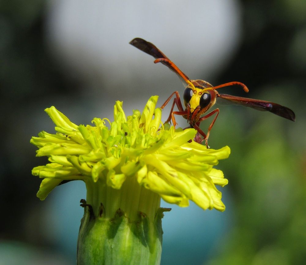 Contrasting nature, congruent beauty.