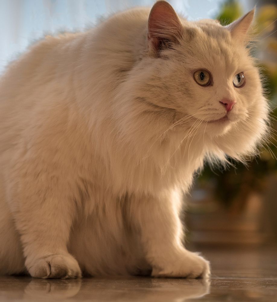 Photograph by Валерий Одинцов