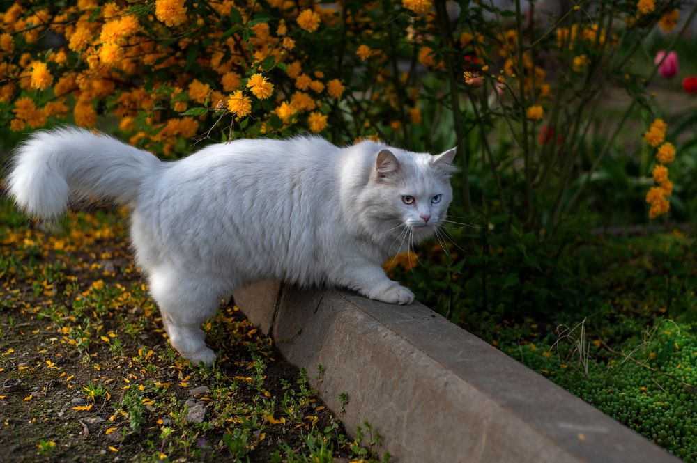 Photograph by Валерий Одинцов