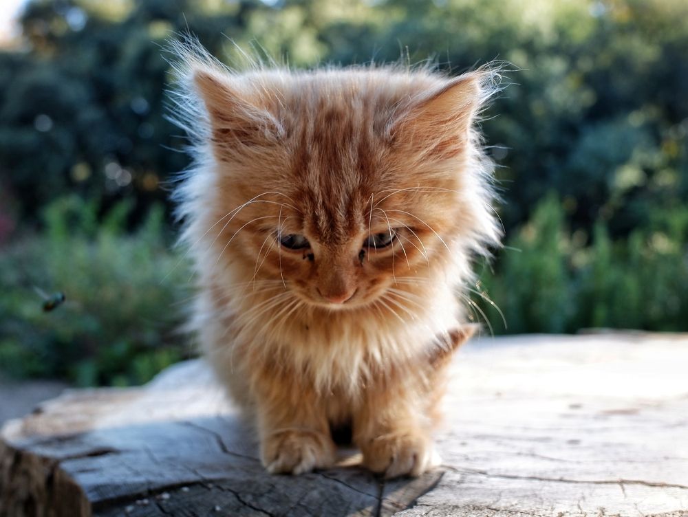 Photograph by Зорин Миша