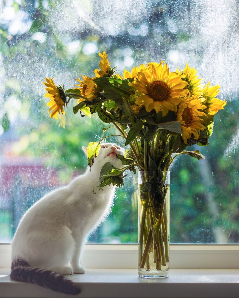 Photograph by Наталия Уракина